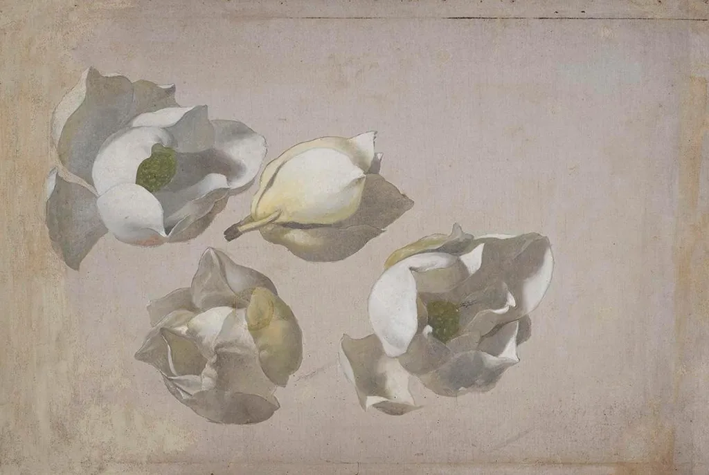 Study of Four Magnolia Blossoms, by Martin Johnson Heade, oil, 1893