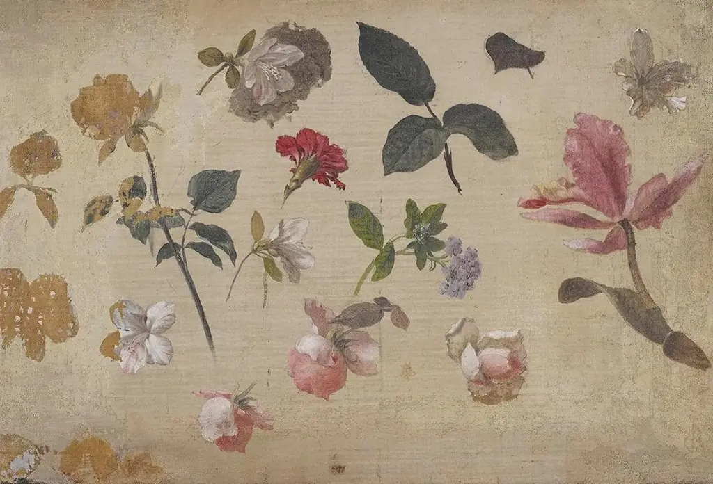 Study of Pink Roses, Leaves, Heliotrope, a Carnation and an Orchid, by Martin Johnson Heade