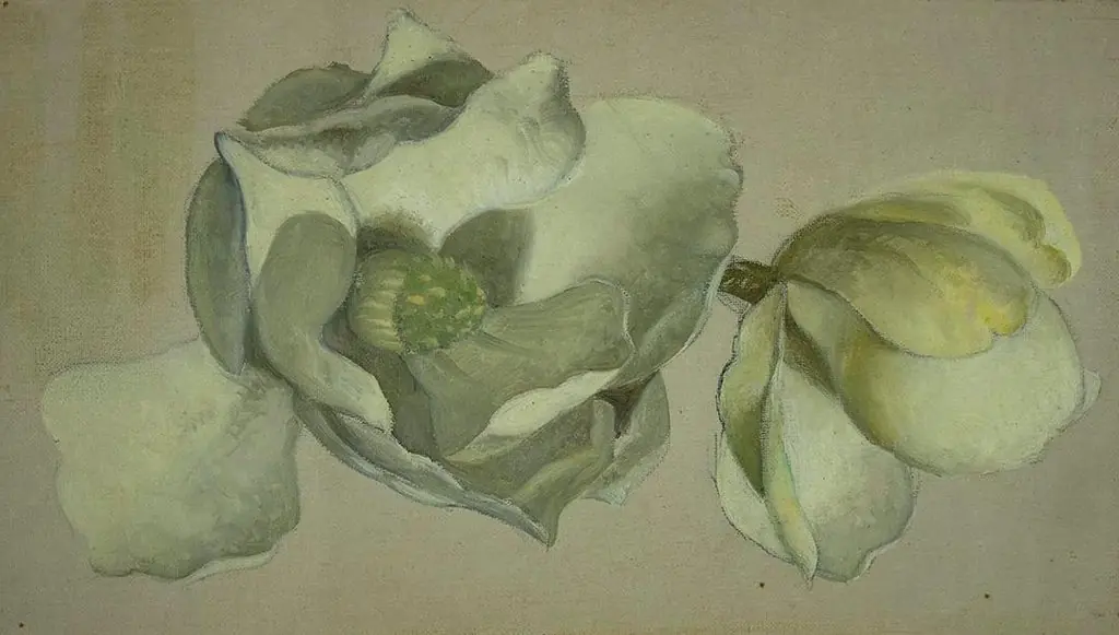 Study of Two Magnolia Blossoms, by Martin Johnson Heade