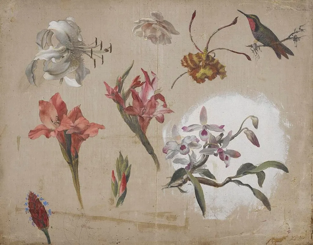 Study of Varied Flowers with a Hummingbird, by Martin Johnson Heade, unspecified, 1870