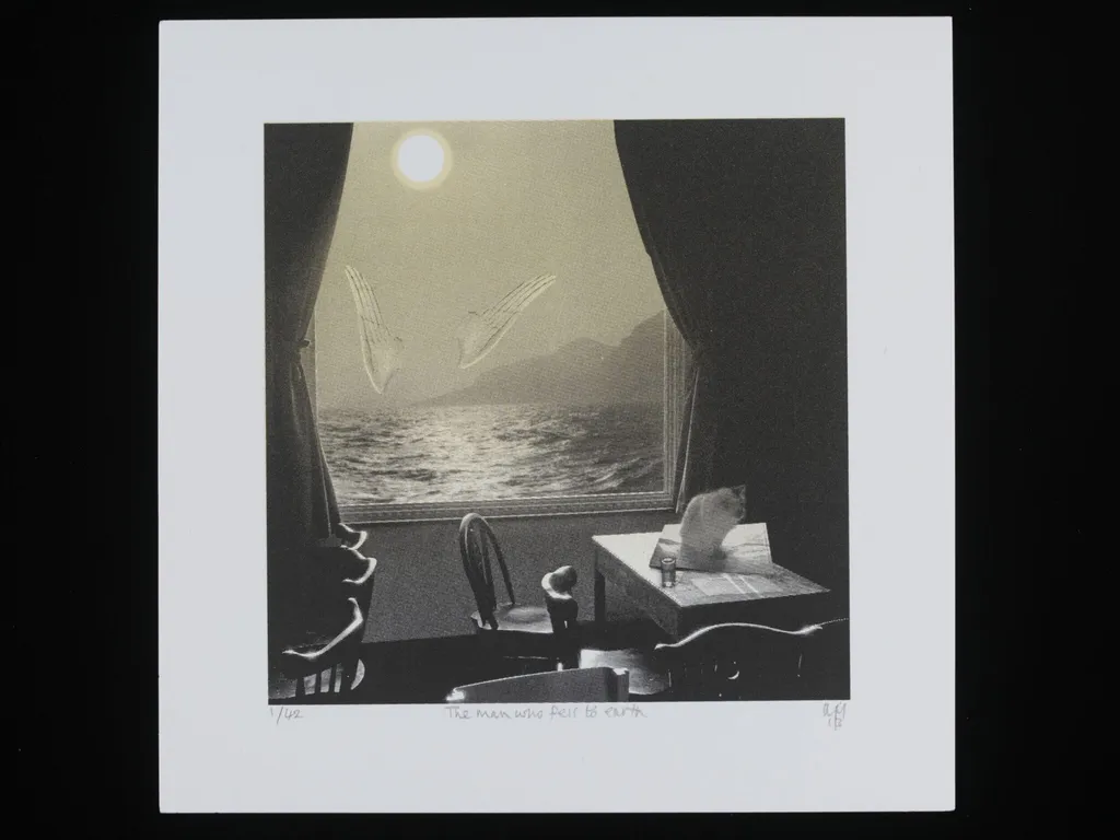 The Man Who Fell to Earth, by Martin Mossop, 2013