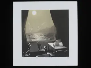 The Man Who Fell to Earth