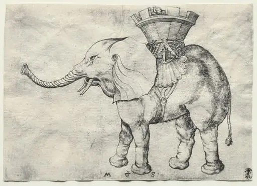 An Elephant with Howdah, by Martin Schongauer