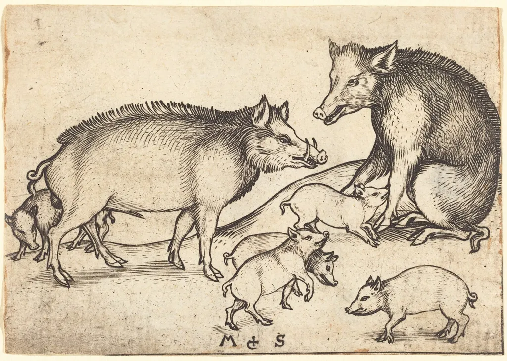Family of Pigs, by Martin Schongauer, ink, 1485