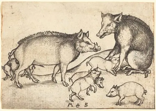 Family of Pigs, by Martin Schongauer
