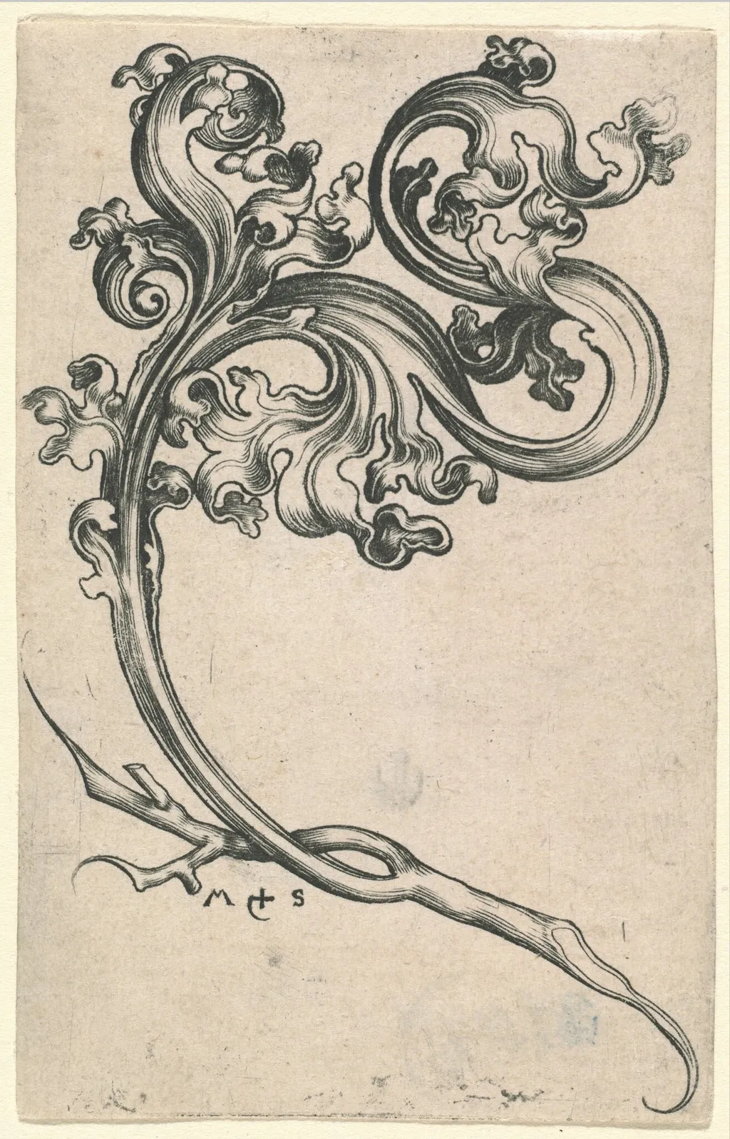 Leaf Ornament, by Martin Schongauer, ink, 1485