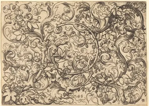 Ornament with Hop Vine, by Martin Schongauer