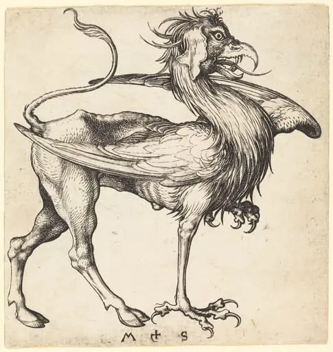 The Griffin, by Martin Schongauer