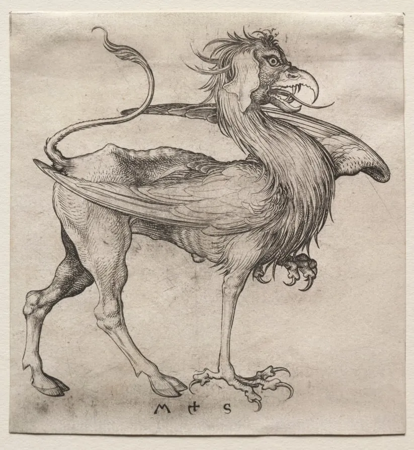 The Griffin, by Martin Schongauer, 1485