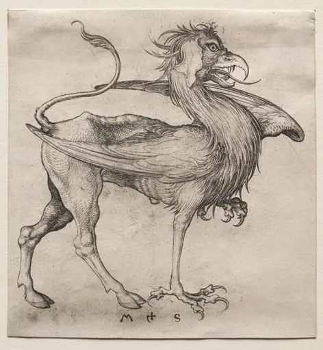 The Griffin, by Martin Schongauer