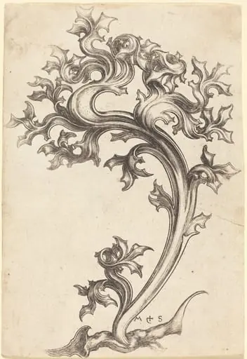 Thistle Ornament, by Martin Schongauer