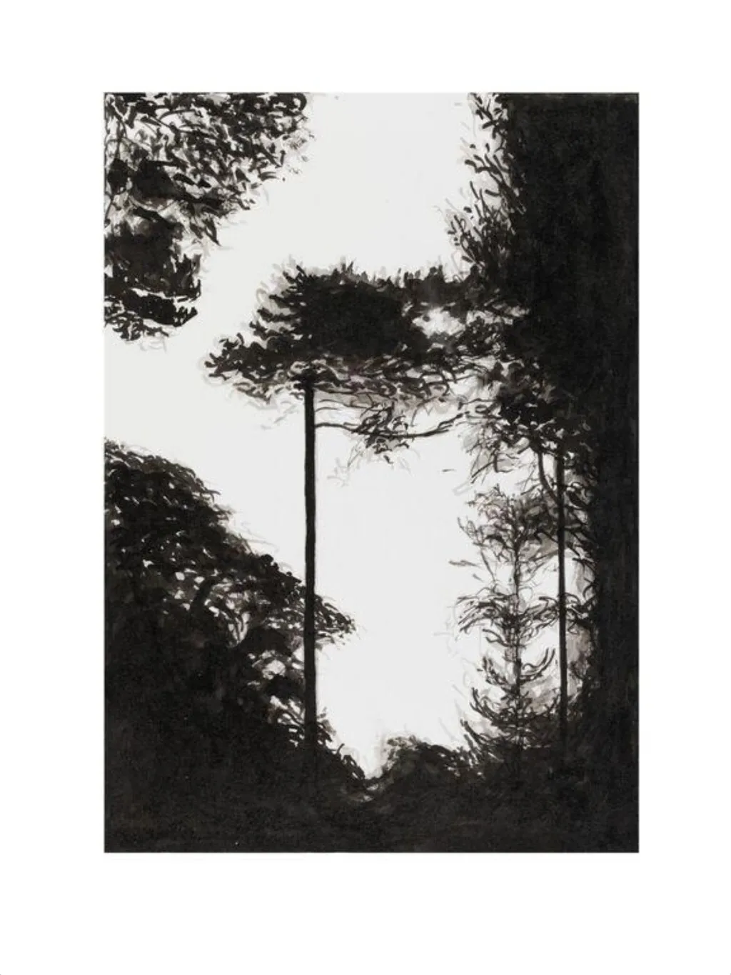 Woodland Series No. 50, by Martyn Brewster, 2005