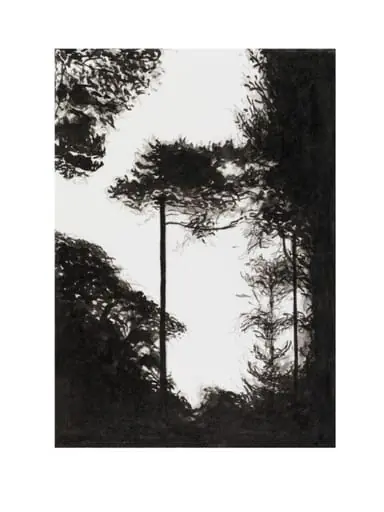 Woodland Series No. 50, by Martyn Brewster