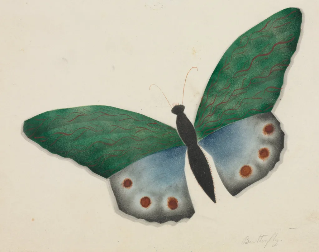 Butterfly, by Mary Altha Nims, 1804