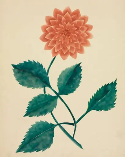 Dahlia, by Mary Altha Nims