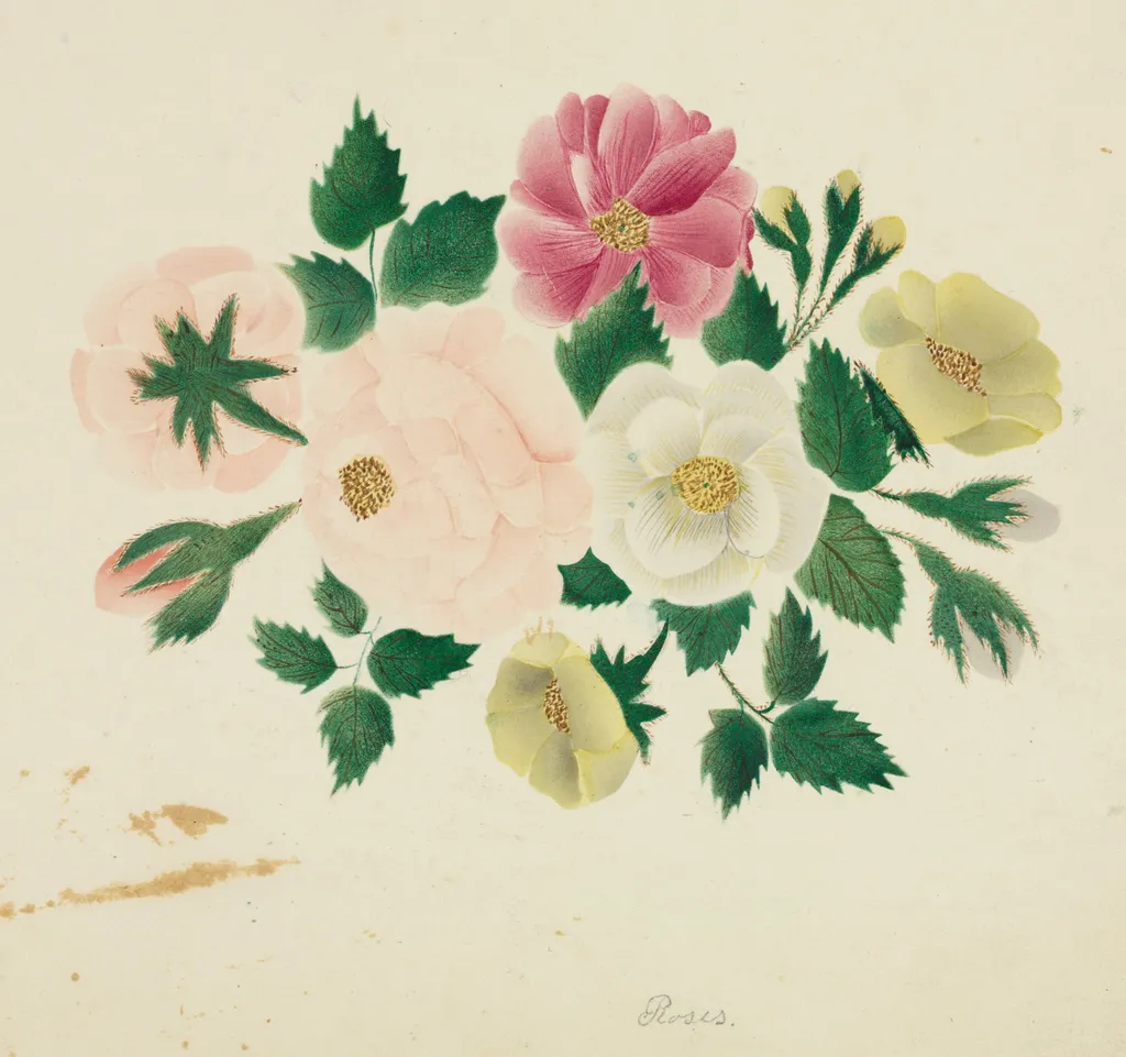 June Roses, by Mary Altha Nims, 1804