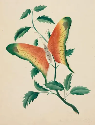 Rose Bush and Butterfly, by Mary Altha Nims