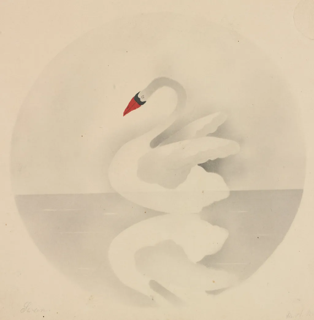Swan, by Mary Altha Nims, 1804