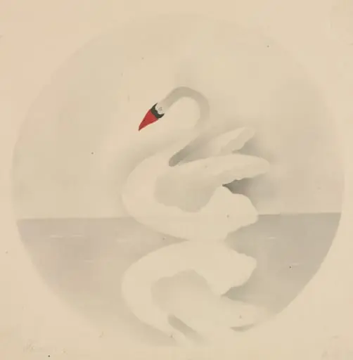 Swan, by Mary Altha Nims