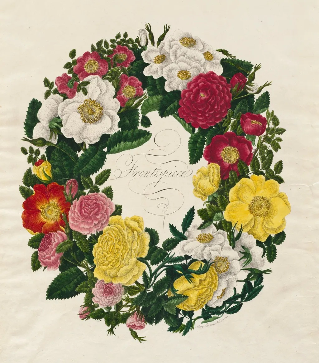 A Wreath of Roses, by Mary Lawrance, 1799