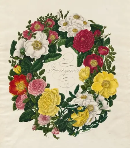 A Wreath of Roses, by Mary Lawrance