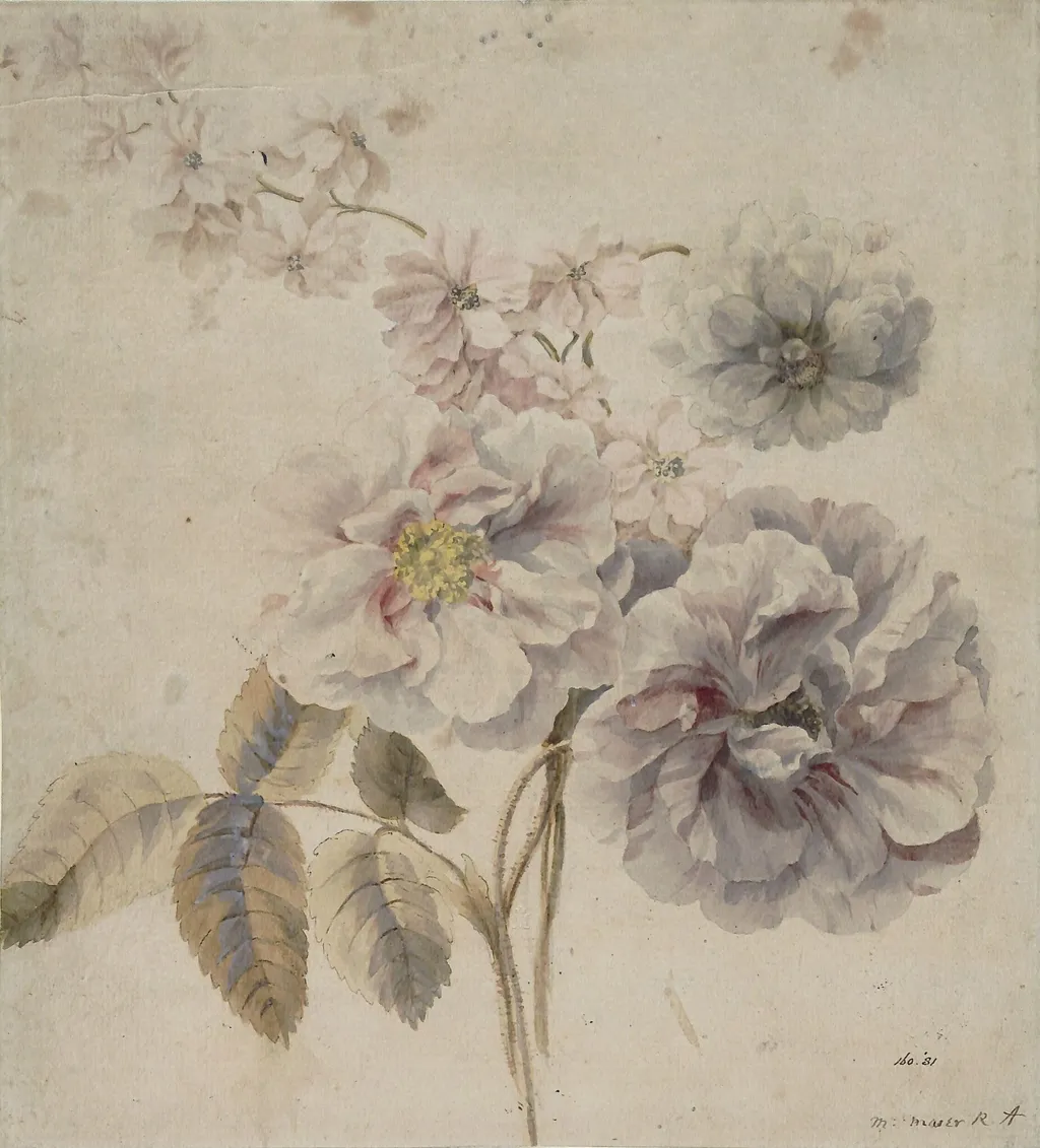 Roses, and other flowers, by Mary RA Moser, watercolor, 1770