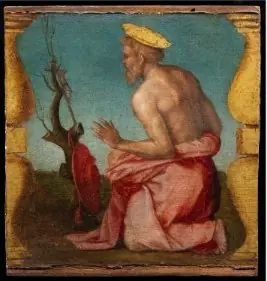 Saint Jerome, by Maso da San Friano