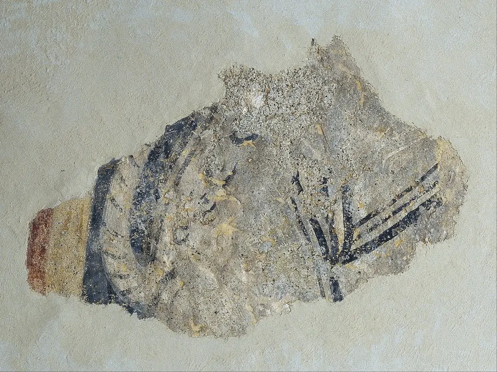 Remains of a quadruped from Boí, by Master of Boí