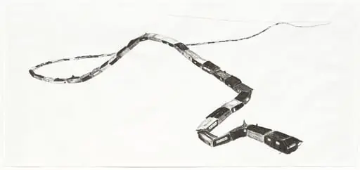 Untitled, by Matías Duville