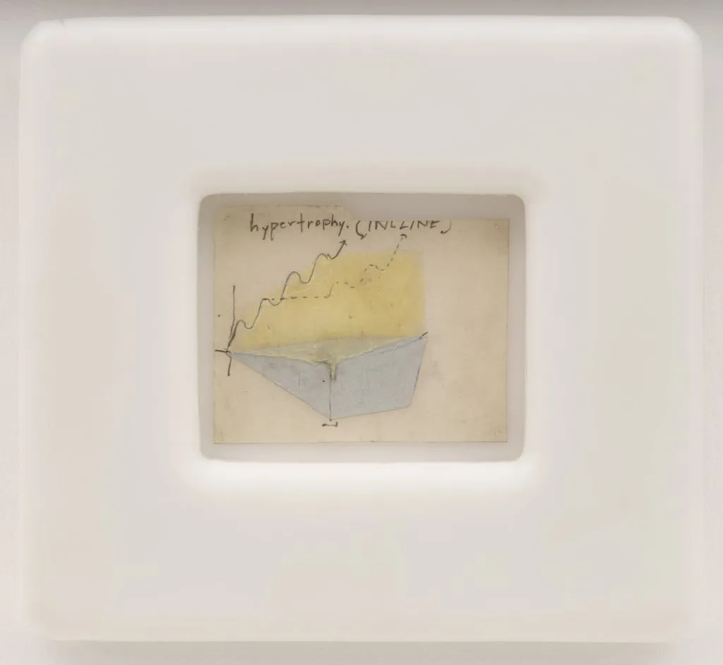 Untitled, by Matthew Barney, graphite, 1991