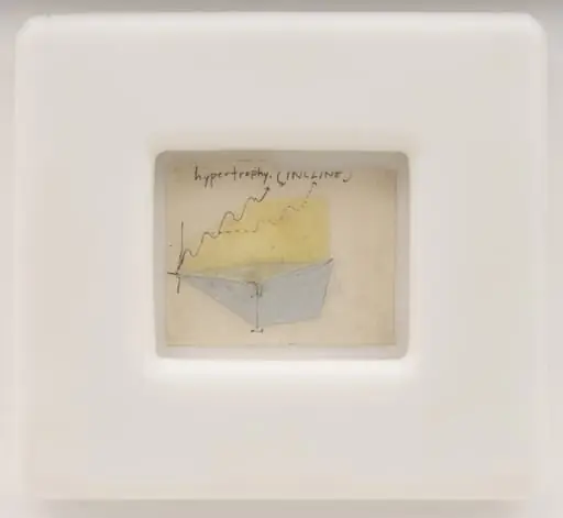 Untitled, by Matthew Barney