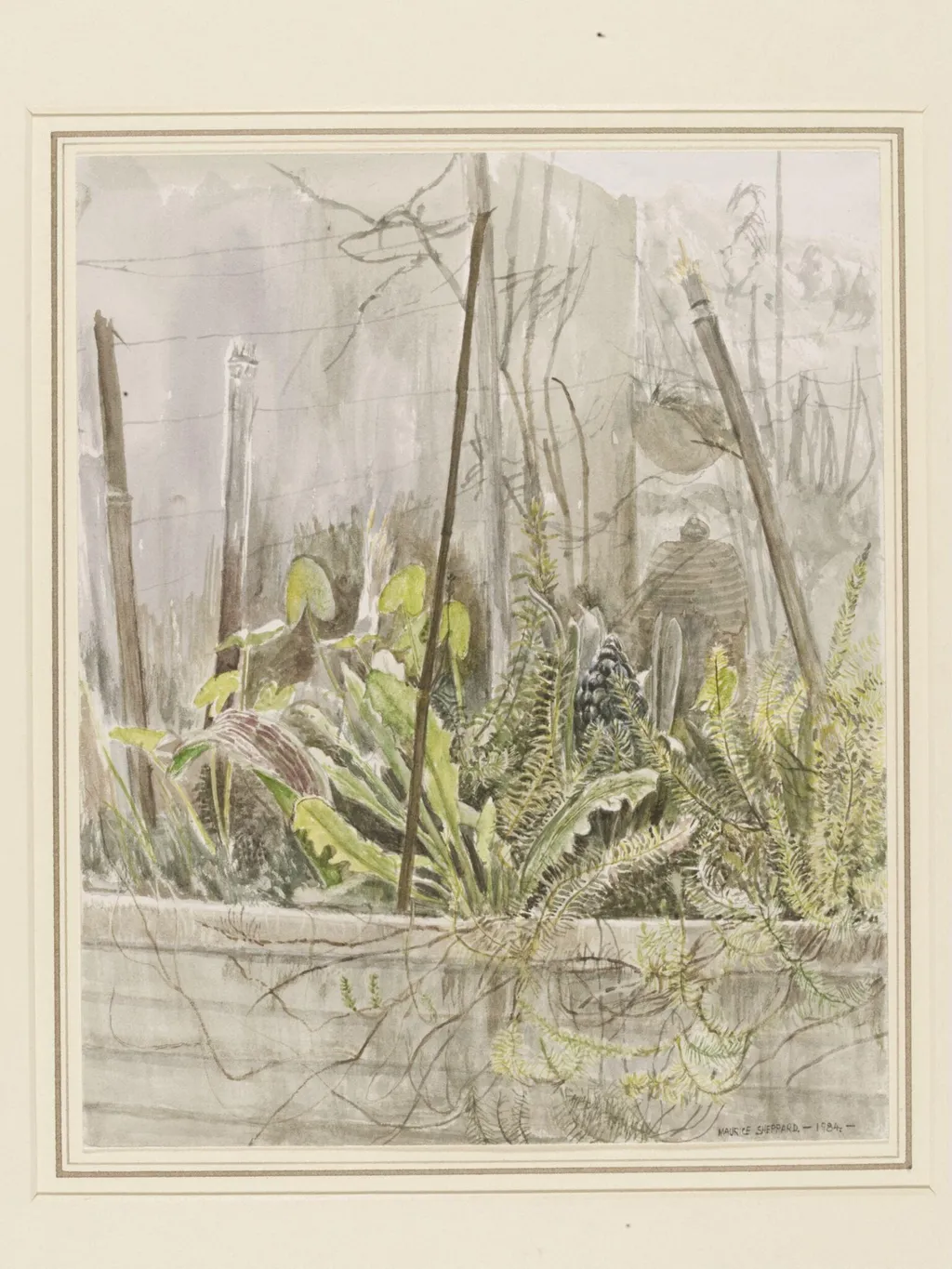 Hyacinth Emerging (the mysteries of the garden no. 5), by Maurice Sheppard, watercolor, 1984