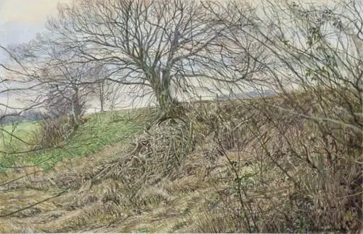 Ridge and Ditch, Kent, by Maurice Sheppard
