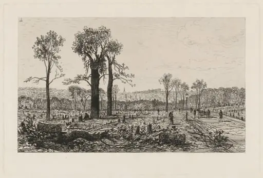 Avenue de Boulogne, by Maxime Lalanne