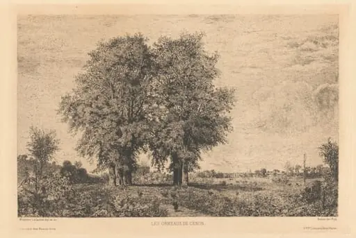 Les Ormeaux de Cénon, by Maxime Lalanne