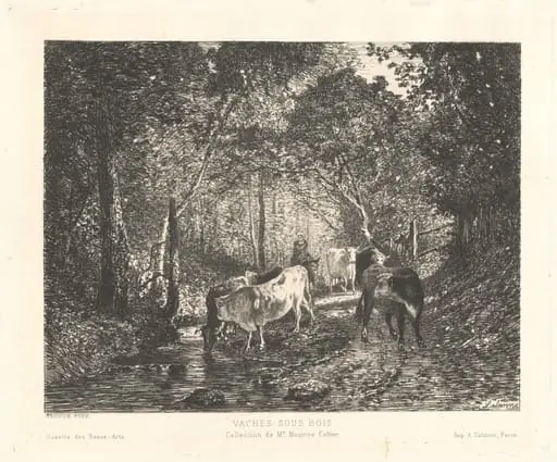 Vaches sous Bois (Cattle in the Forest), by Maxime Lalanne