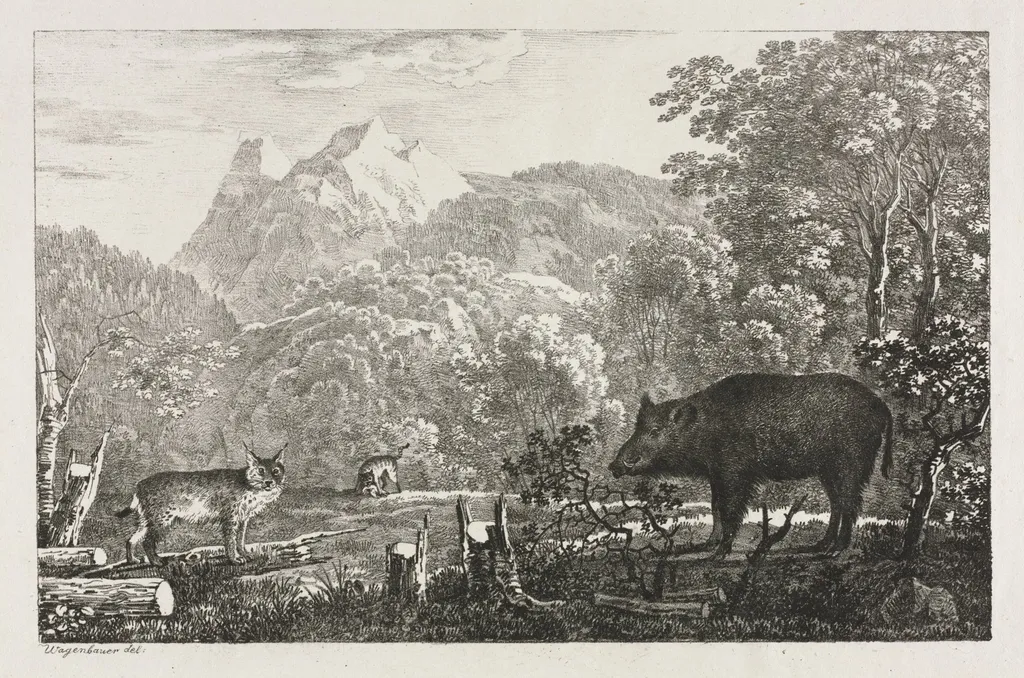 Wild Boar, Wildcat and Lynx, by Maximilian Josef Wagenbauer, 1807