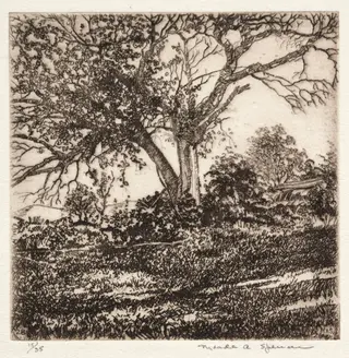 Apple Tree, by Meade Ashley Spencer, 1928
