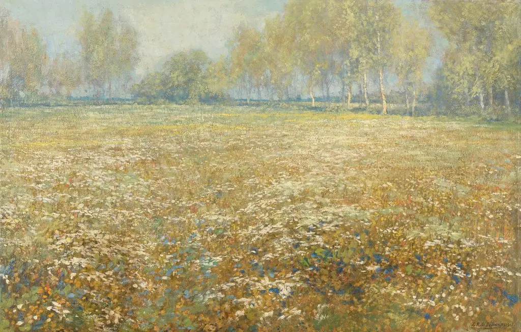 Meadow in bloom