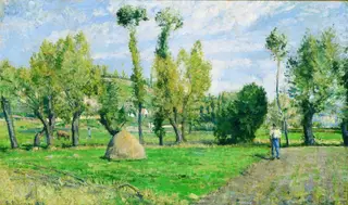 Meadows at Le Valhermeil, Auvers-sur-Oise