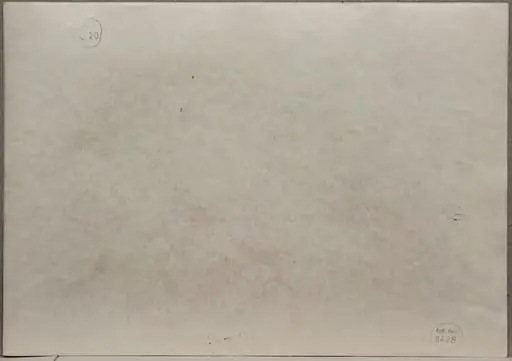 S 20 - Natură statică la Sulina (Fructe pe un platou și dovleac), by Medi Wechsler Dinu