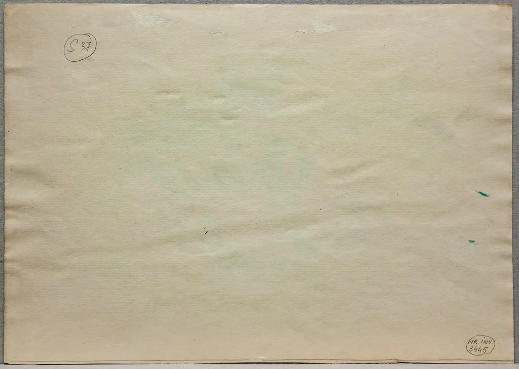 S 37 - Natură statică - Vas cu flori la Sulina, by Medi Wechsler Dinu, unspecified, 1958