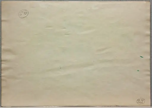 S 37 - Natură statică - Vas cu flori la Sulina, by Medi Wechsler Dinu