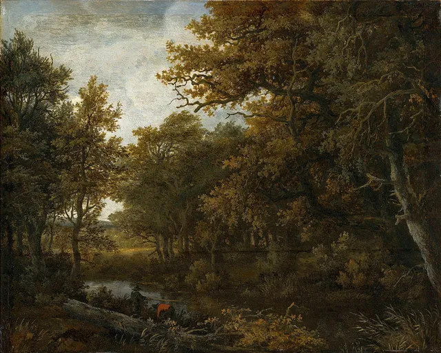 Forest