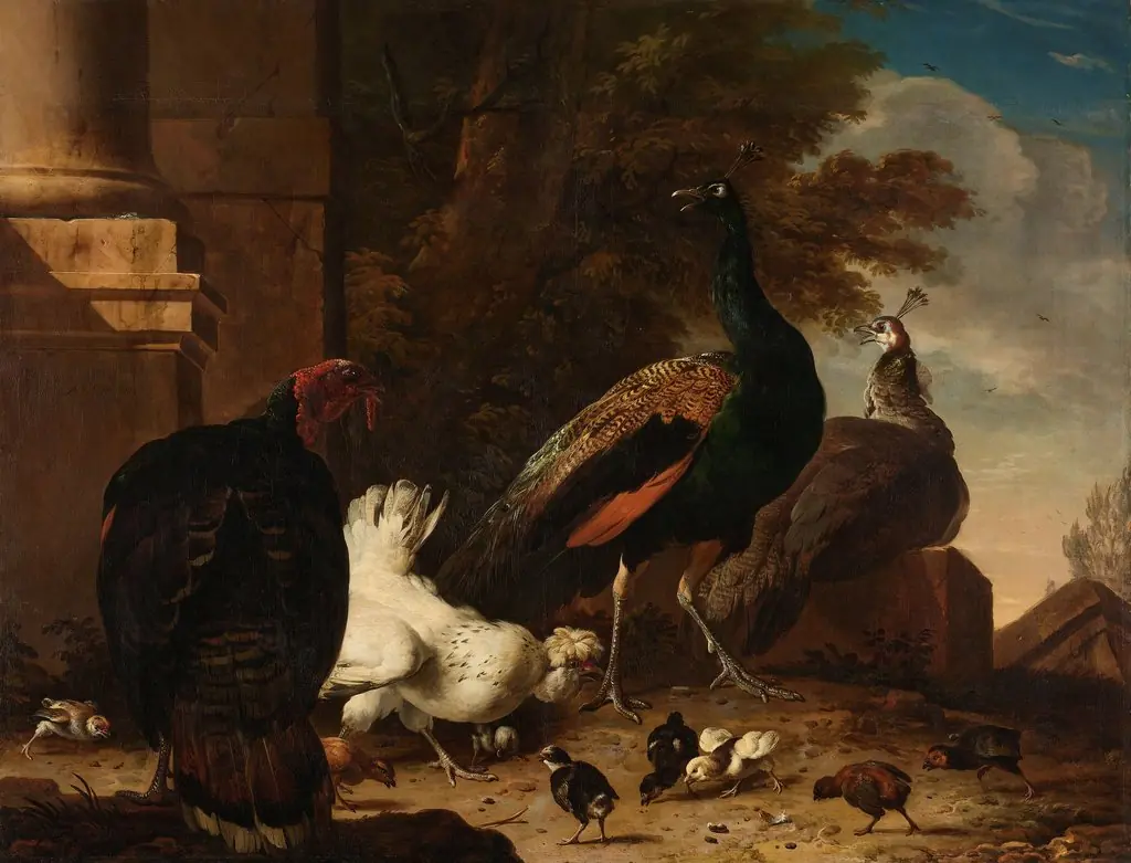 A Hen with Peacocks and a Turkey, by Melchior d' Hondecoeter