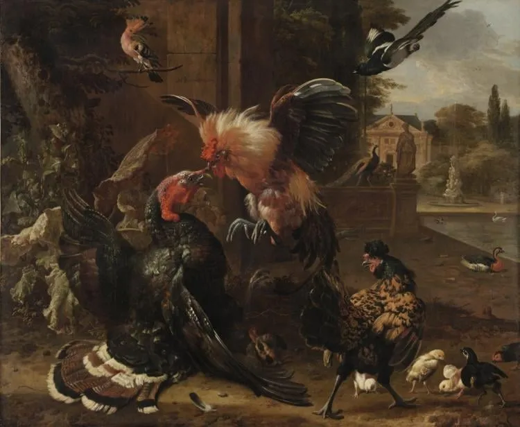A Rooster and Turkey Fighting, by Melchior d' Hondecoeter, unspecified, 1680