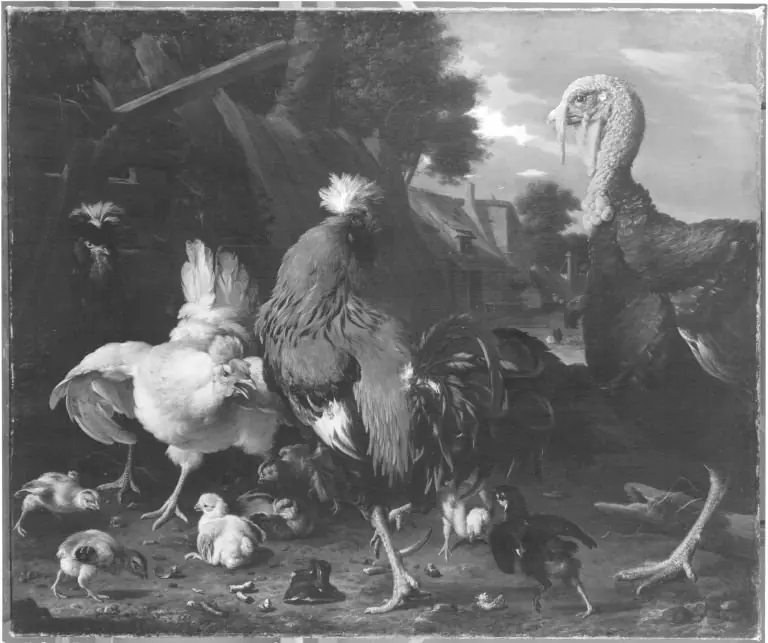 A turkey, chickens and quails in a farmyard, by Melchior d' Hondecoeter
