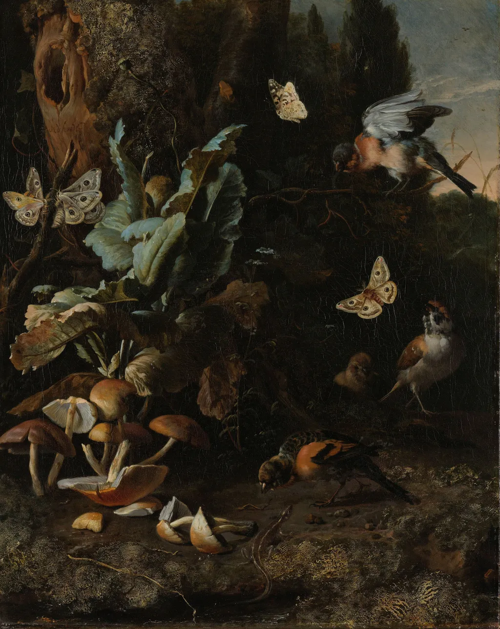 Animals and plants, by Melchior d' Hondecoeter, oil, 1668