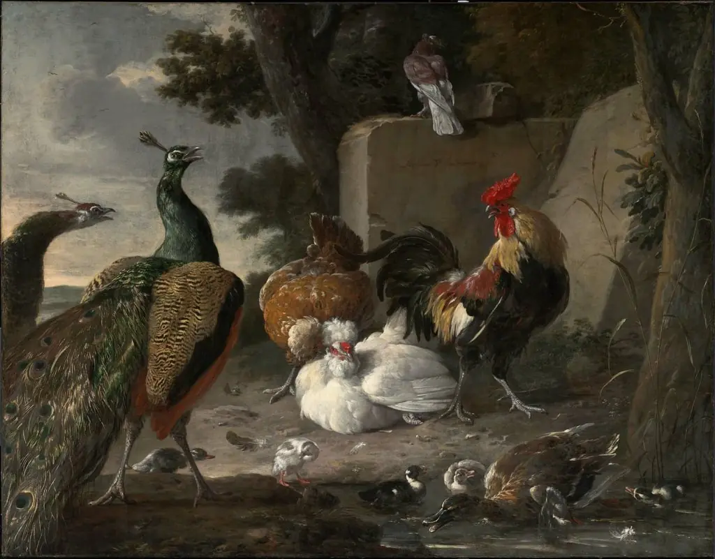 Barnyard Fowl and Peacocks, by Melchior d' Hondecoeter