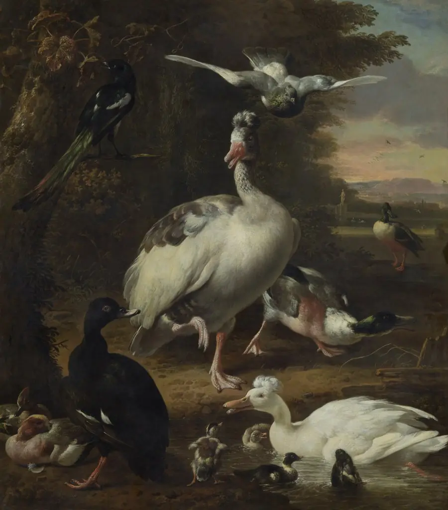 Birds, by Melchior d' Hondecoeter
